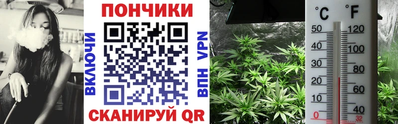 Канабис семена  MEGA маркетплейс  Кызыл 